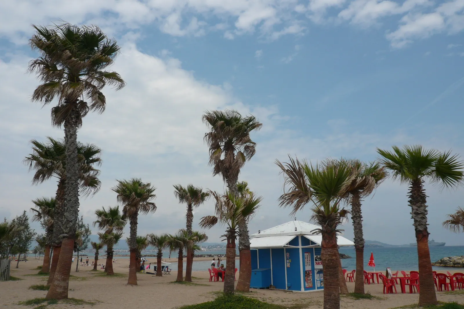 Palmiers sur la plage de Saint-Aygulf